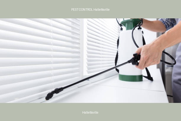 PEST CONTROL Hallettsville